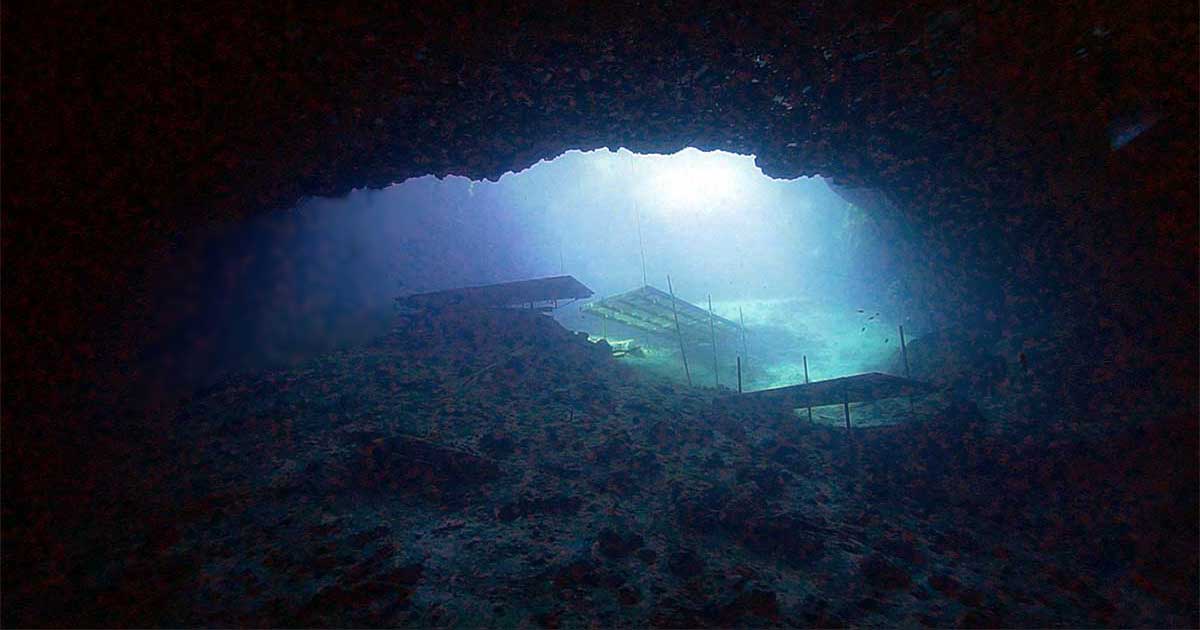 Guided dives - Blue Grotto Dive Resort