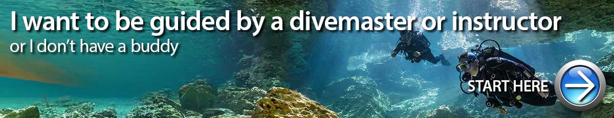 Guided dive