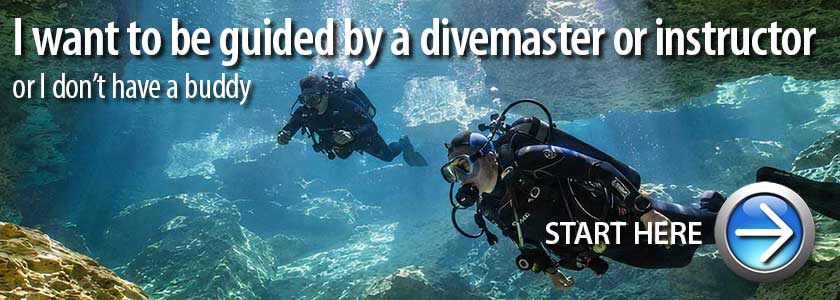 Guided dive