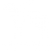 Seervice Dogs